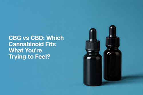 CBG vs CBD: Which Cannabinoid Fits What You're Trying to Feel?