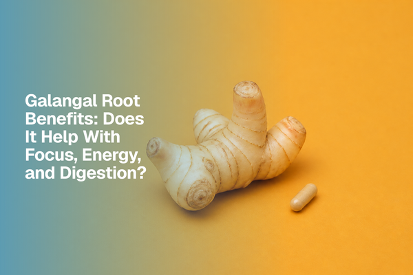 Galangal Root Benefits: Does It Help With Focus, Energy, and Digestion?