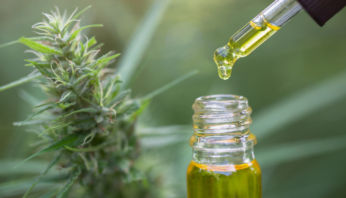 CBD oil cannabis extract by 1906.shop