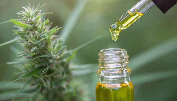 CBD oil cannabis extract by 1906.shop