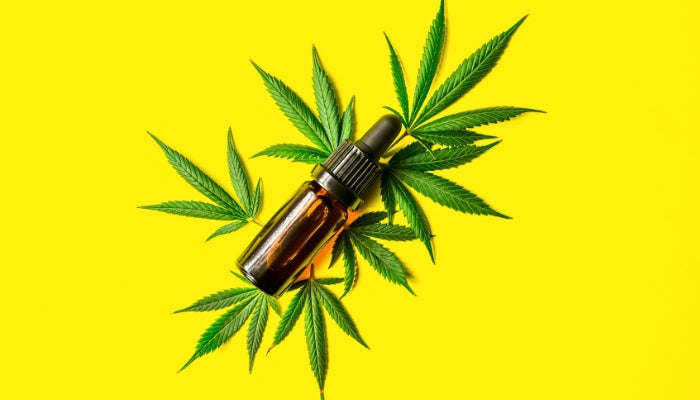 Cannabis extraction methods explained by 1906.Shop.