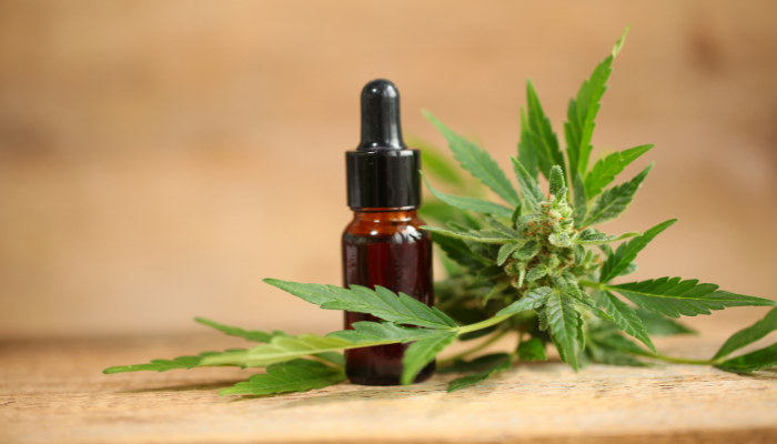 Kanna plant extract bottle with cannabis leaves by 1906.shop