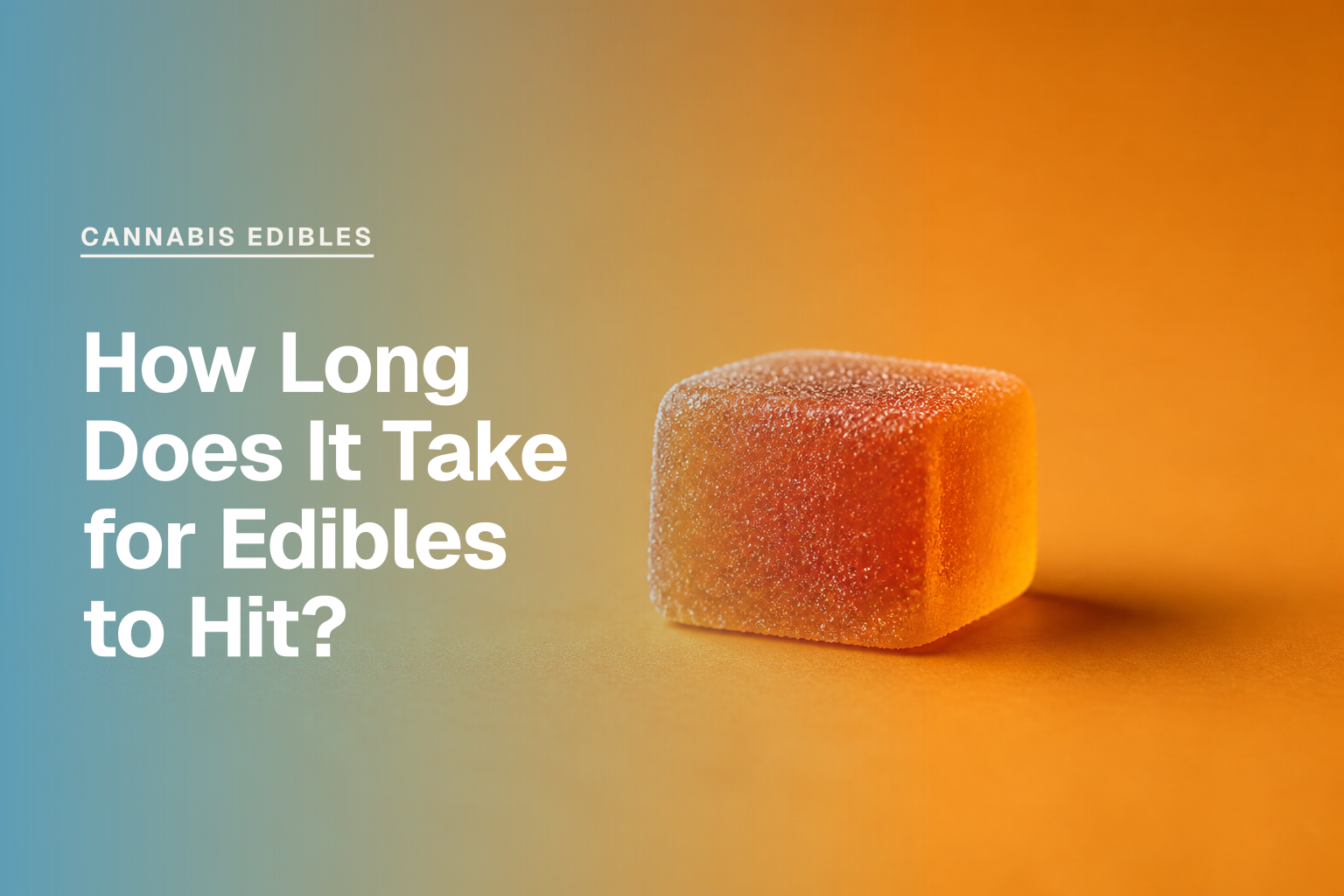 How Long Does It Take for Edibles to Hit?