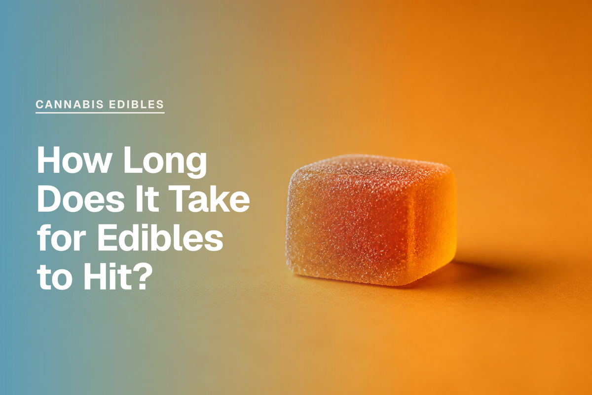 How Long Does It Take for Edibles to Hit?