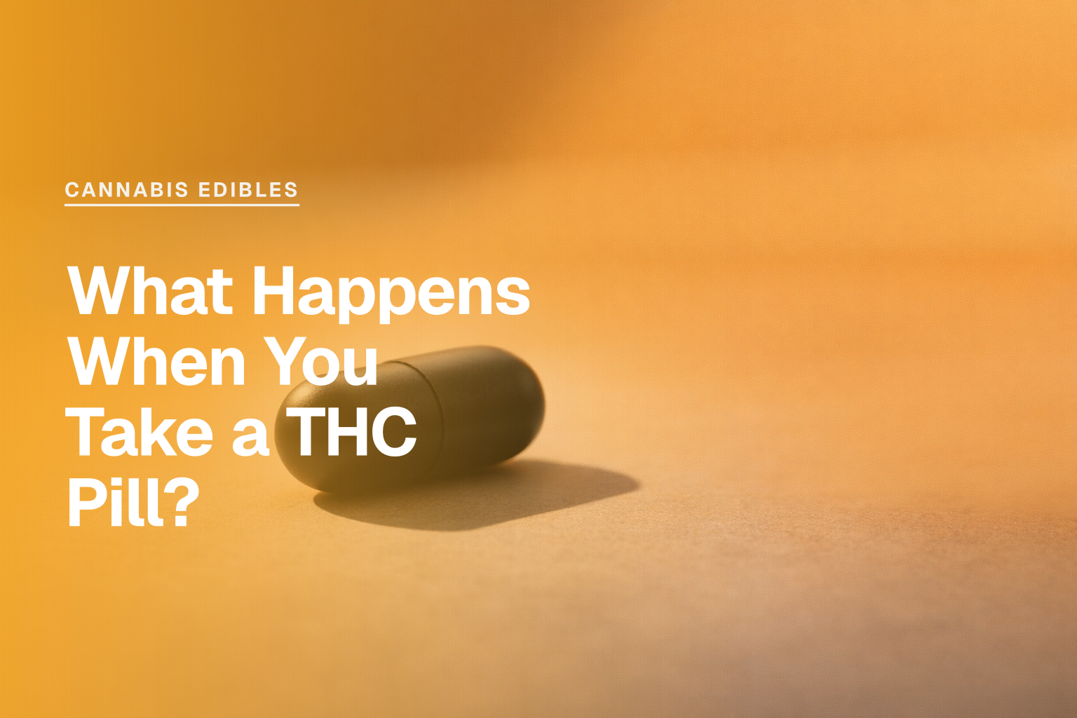 What Happens When You Take a THC Pill?