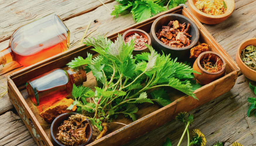 Natural roots and herbal wellness ingredients