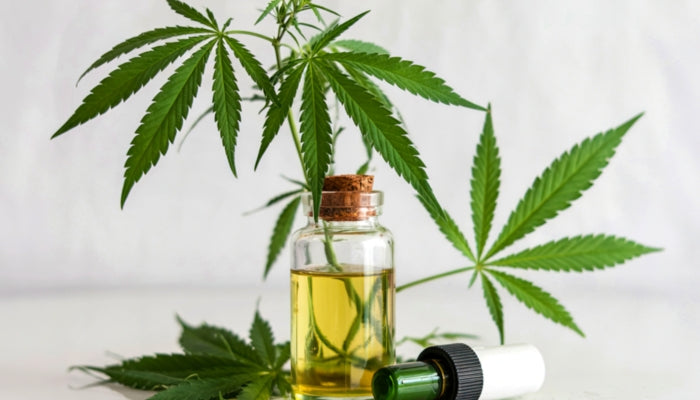 Cannabis leaves and oil extract - different types of THC