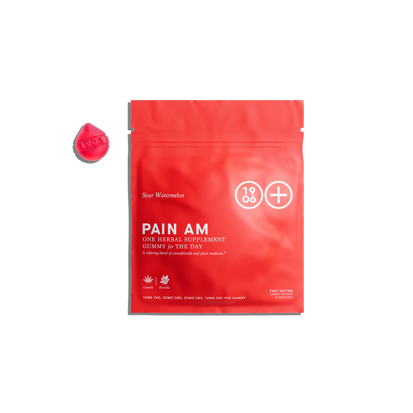 Pain AM
