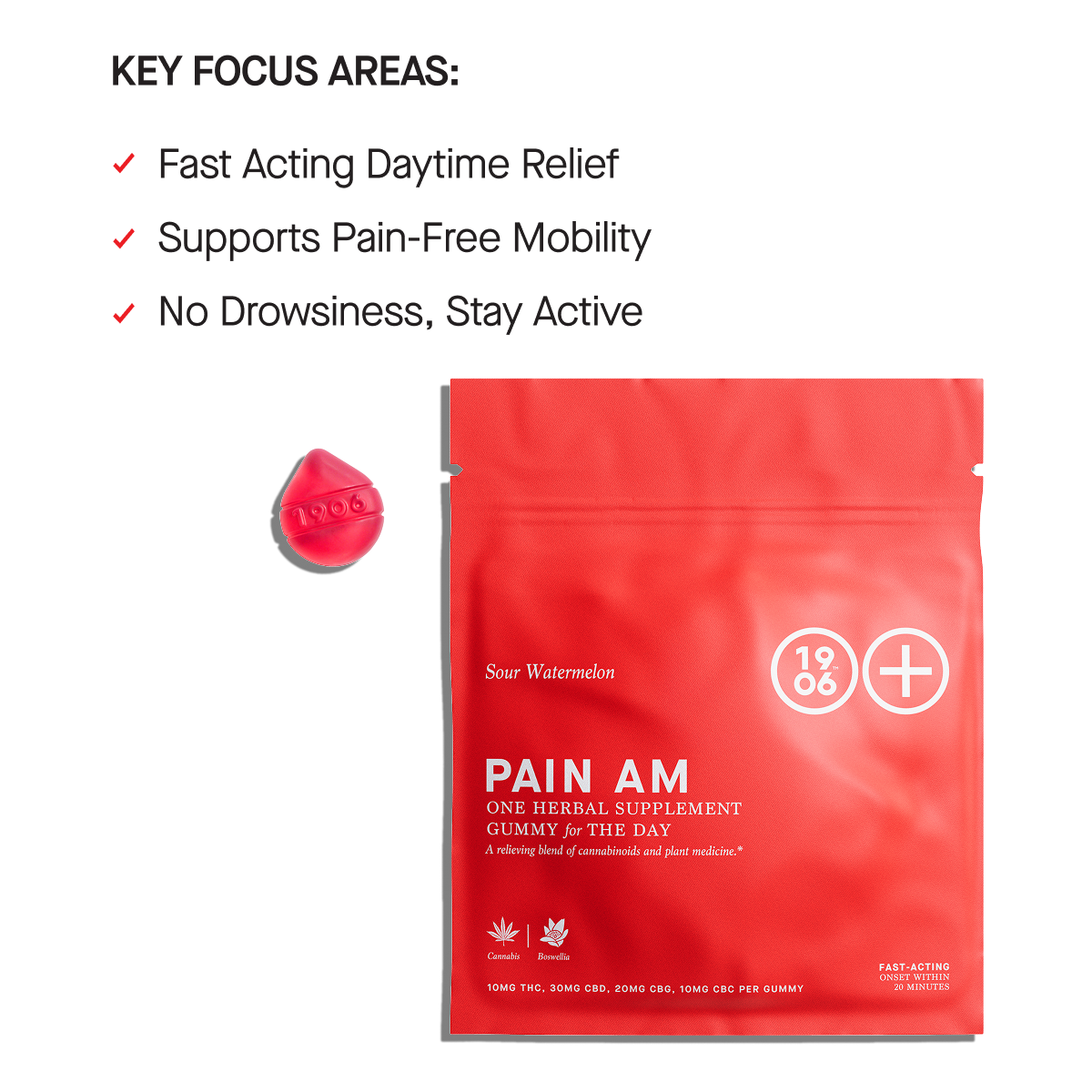 Pain AM
