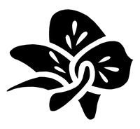 Damiana