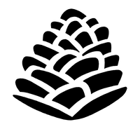 Galangal